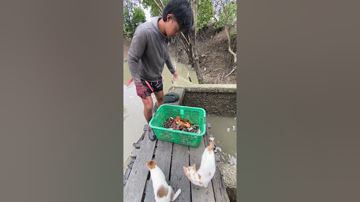 Total harvest😋 #pond #Kalimantan