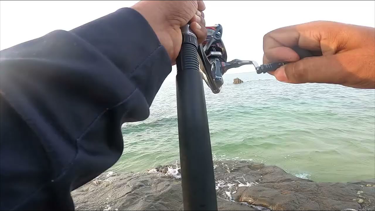 Caught a Good Size Trevelly  Fish 🎣🐟