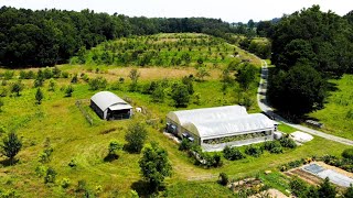 Permaculture Farm - After 12 Years