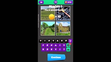 Pic The Word - Level 133 Walkthrough - Find The Common Word Answers