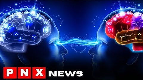 How two brains can synchronise and why it matters - PNX News
