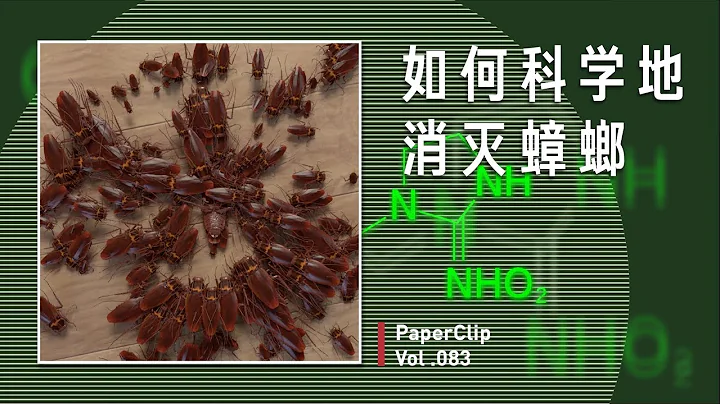 [Eng Sub] Vol.083 How to Get Rid of Cockroaches? - 天天要聞