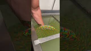 Hydro Dipping #satisfyingvideo #art #funny