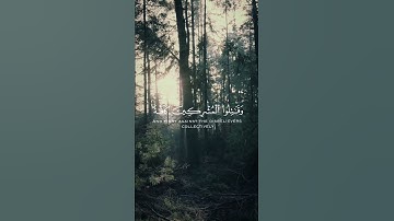 إن عدة الشهور عند الله اثنا عشر شهرا في كتاب الله #القرآن_الكريم #سورة_التوبة #رعد_الكردي