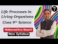 Life Processes in Living Organisms Class 9th Part 7