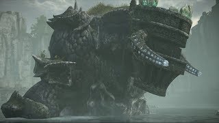 Shadow of the Colossus PS4 - XII Pelagia, Permagnus Pistrix