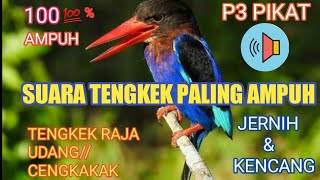 SUARA PIKAT BURUNG TENGKEK//CENGKAKAK💯% AMPUH.#suarapikat