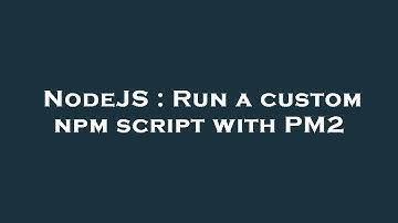 NodeJS : Run a custom npm script with PM2