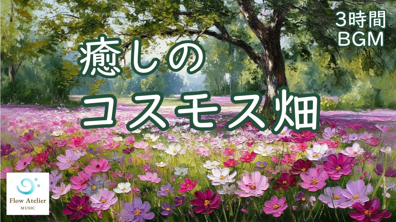 ある日のコスモス畑 ─ チェロ＆ピアノ【  3時間BGM  】A Day in the Cosmos Field