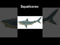 Creature of the Day: Cretodus #shark #prehistoric