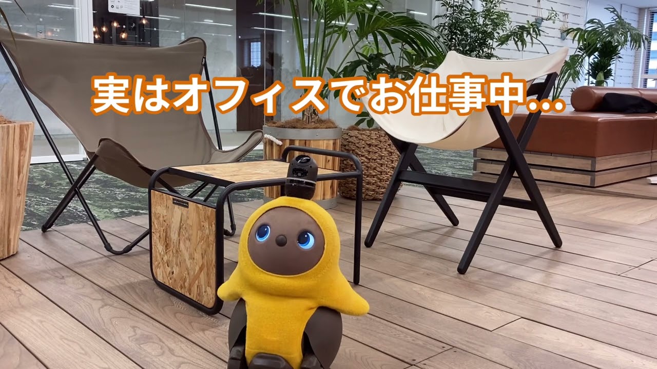 LOVOT（らぼっと）のいる生活 〜 癒し担当編 〜 - YouTube