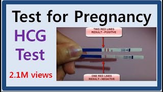 TEST FOR PREGNANCY screenshot 3