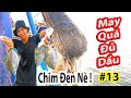 May Mắn Khi Đánh Trúng Cá Chim Đen Và Mực Lá Nhất || Đánh Bắt Hải Sản || Phần 13