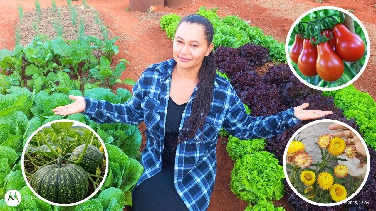 TOUR PELA HORTA - MOSTREI TODAS AS PLANTAS