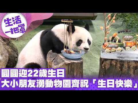 《生活一把罩》圓圓迎22歲生日 大小朋友湧動物園齊祝「生日快樂」
