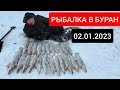 АТАКА ЗА АТАКОЙ! ЕЛЕ УСПЕВАЕМ БЕГАТЬ! РЫБАЛКА В СИЛЬНЫЙ БУРАН! РЫБКАЛКА 2 ЯНВАРЯ 2023ГОДА!