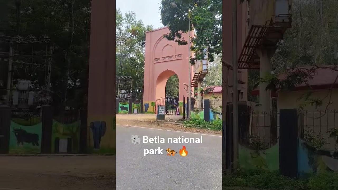 betla national park