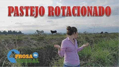 Quais as vantagens do pastejo rotacionado?