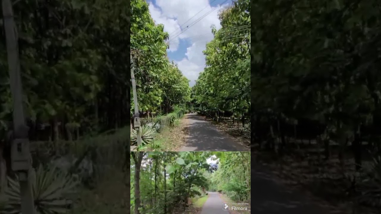 mysore Infosys Behind site sale emerald ENCLAVE 80x120 East fcaing 2650/-rs per sqft 9900363084