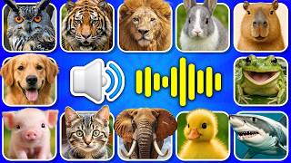 Guess the ANIMAL SOUNDS 🔊❤️ | Learn Animal Noises screenshot 5