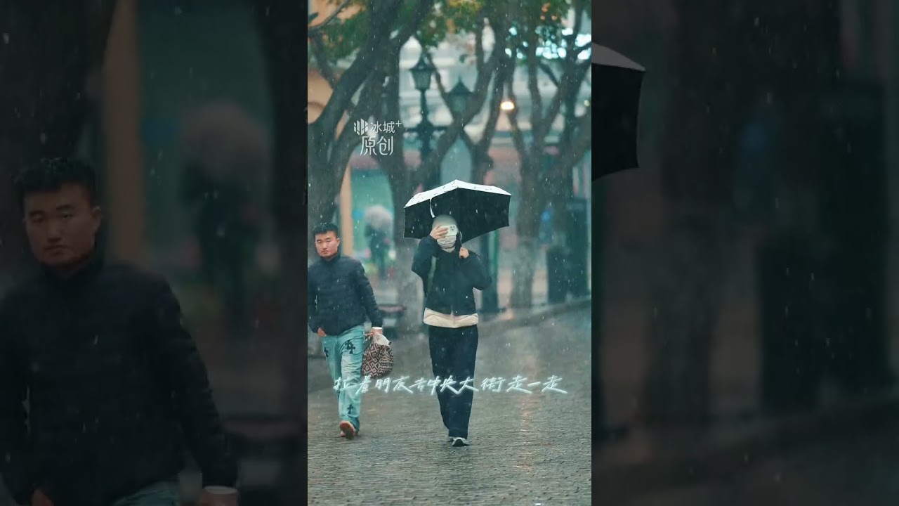 A heavy snow before winter has cloaked Harbin in white, making you fall in love with this city