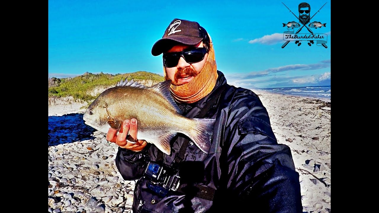 Surf fishing for Fat Galjoen. Catch and Release