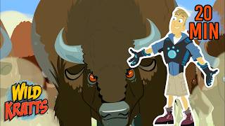 Celebrity Fastest Animal in the Prairie | Wild Kratts | Scholastic International Net Worth