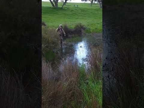 #hunting #podcast #water