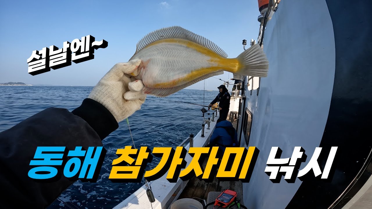 설 명절을 앞두고 맛과 마릿수 손맛까지 좋은  동해 참가자미 낚시!