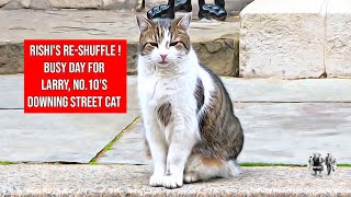 No.10's Downing Street Cat Larry  Rishi's Reshuffle