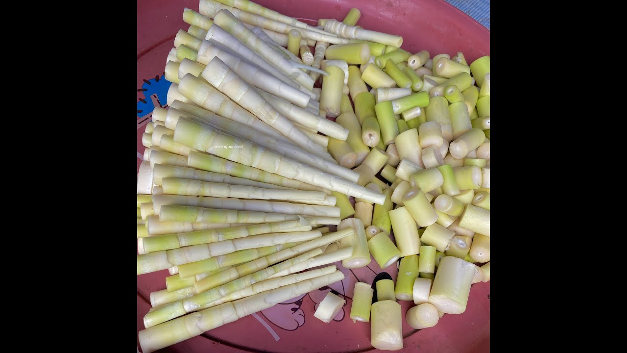 ปอกเปลือกหน่อไม้ไผ่รวก คลิปยาว