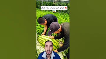 شوفو خير ديال الله دلاحة قدش شينوي فلاحة بطيخ احمر ريلز رياكشن Shorts 