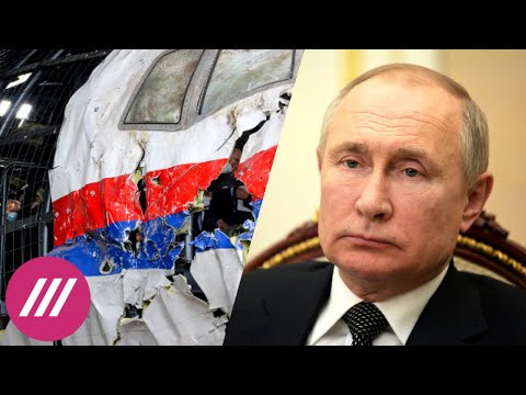 «Россия достаточно сильна, чтобы принять свои “падения”»: семьи жертв MH17 обратились к Путину