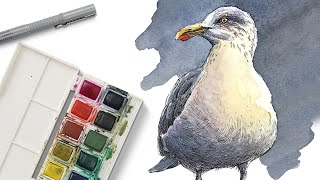 INK and WATERCOLOR  Seagull