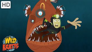 Anglerfish, Sharks, Seahorses + more | Fascinating Fish [Full Episodes] Wild Kratts