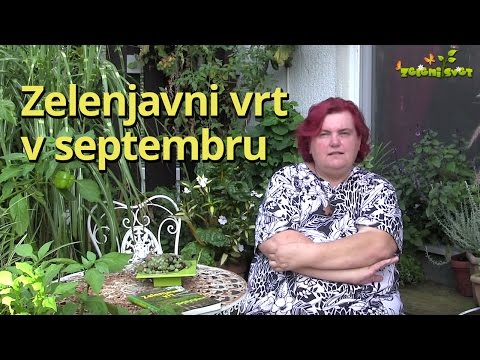 Zelenjavni vrt v septembru