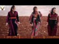يا بدويه نشر محمد وهيب يا بدويه نشر محمد وهيب