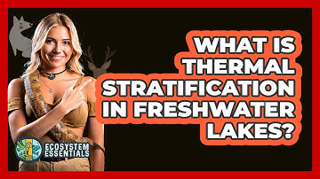 What Is Thermal Stratification In Freshwater Lakes? - Ecosystem Essentials