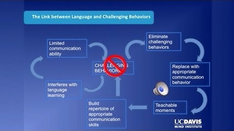 Parent-implemented Language Intervention Using Distance Video-teleconferencing