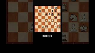 Сыграйте как Магнус Карлсен #шахматы #chessgame