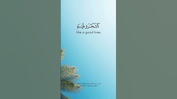 سوره ابراهیم، ​​آیات 24 و 25