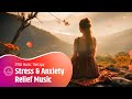 11 Full Hours Of Our PTSD Frequency | Stress And Anxiety Relief Music | PTSD Music Therapy