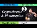 Cryptochrome &amp; Phototropin made easy| Plant Physiology|Dr. Rajib Borah| 5th sem Assamese| Axomia Bio