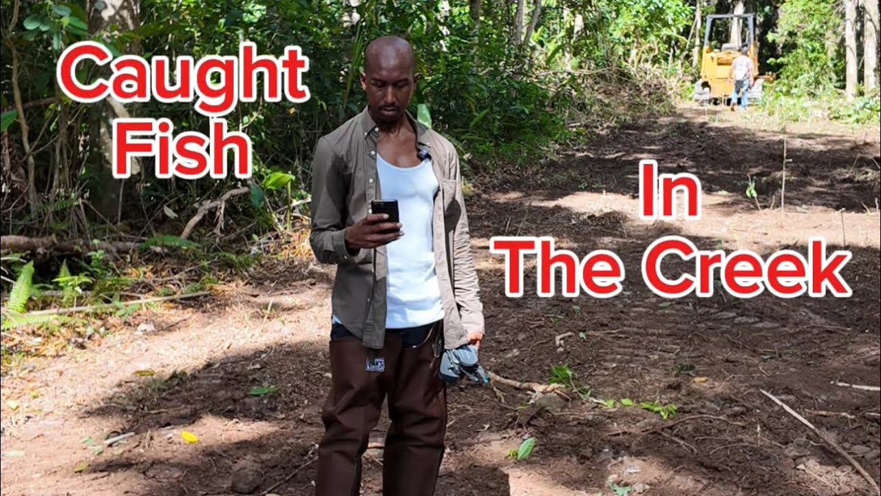 Catching Fish In The Creek Bordering Our Property - YouTube