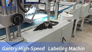 Gantry High-Speed Labeling Machine