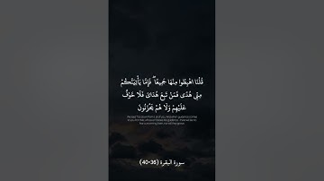 سورة البقرة من الاية (36-40) #قران_كريم #قرآن #سورة_البقرة #ختمة