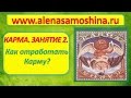 Исцеление кармы. Кармический узел. Как отработать карму. Что влияет на карму. Алена Самошина.