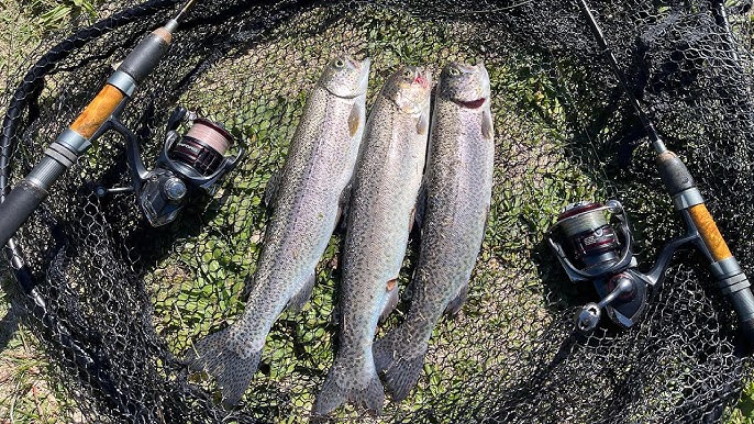 Cómo Tirar Colocar Meter una RED Trasmallo de PESCA en el Mar paso