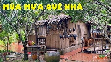 MIỀN TÂY MÙA SA MƯA, thương nhớ mấy cho vừa | Đặc sản miền sông nước