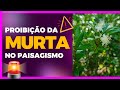 Entenda mais sobre a proibio da murta no paisagismo